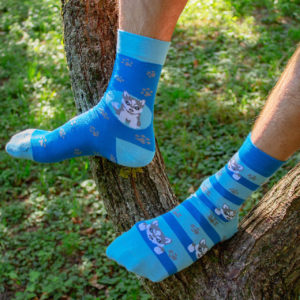 Veselé ponožky POHODKY Pes Husky
