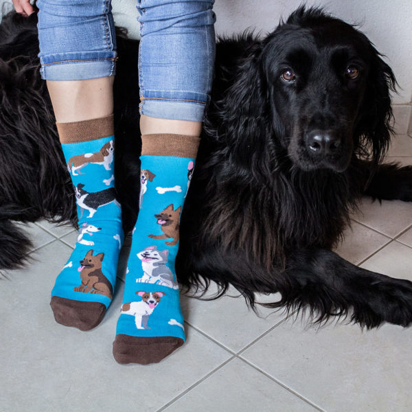 Veselé ponožky POHODKY Psy