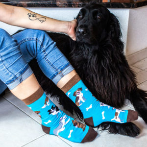 Veselé ponožky POHODKY Psy