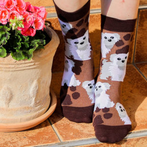 Veselé ponožky – Psík