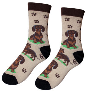 Veselé ponožky – Jazvečík